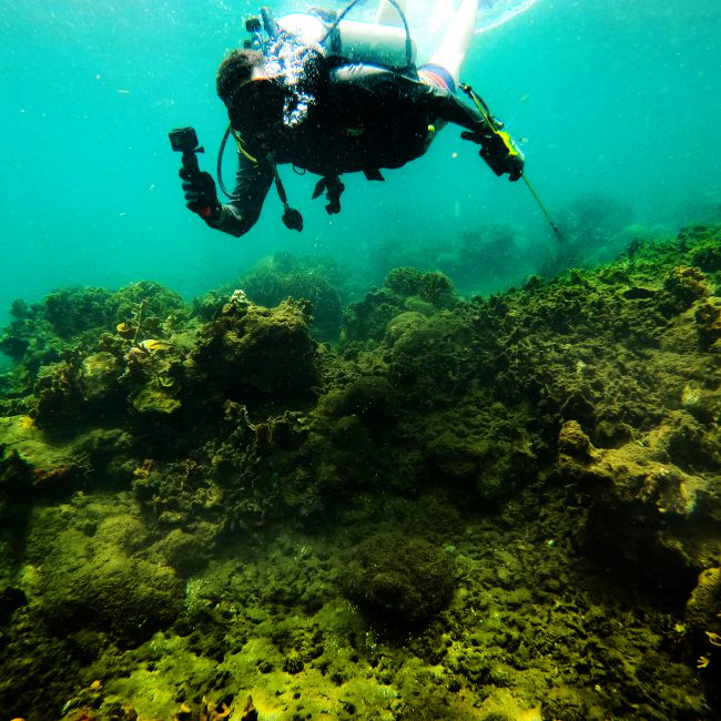 Buceo-Reef2Reef-Colón-Panamá