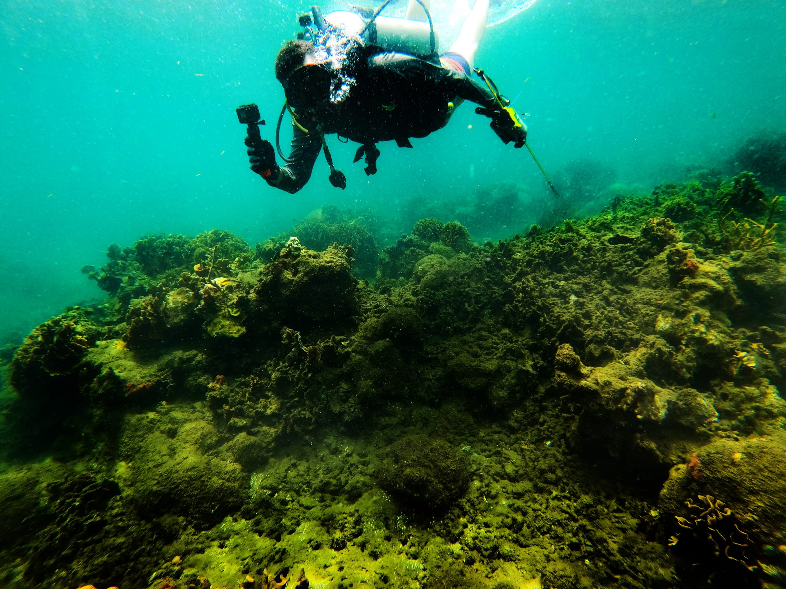 Buceo-Reef2Reef-Colón-Panamá
