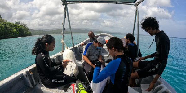 Scuba Panamá - Reef2Reef Coral Restauration