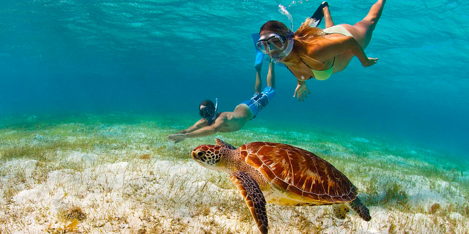 Reef Restoration Panama