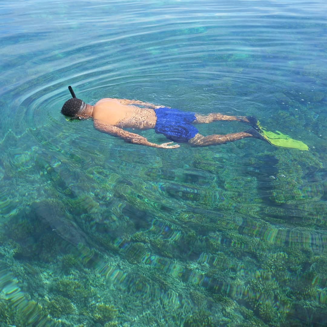 Reef Restoration Panama