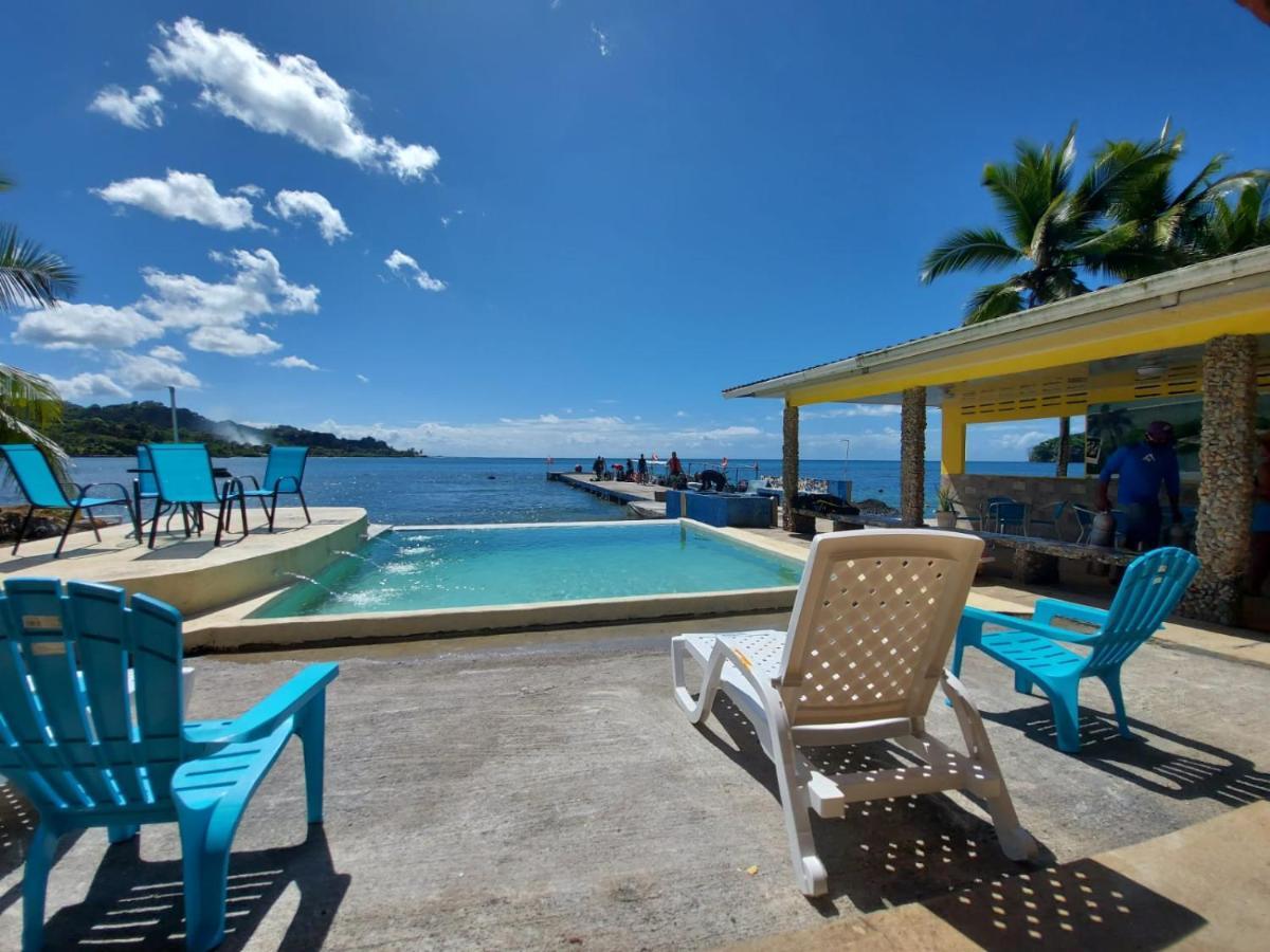 Reef Restoration Panama