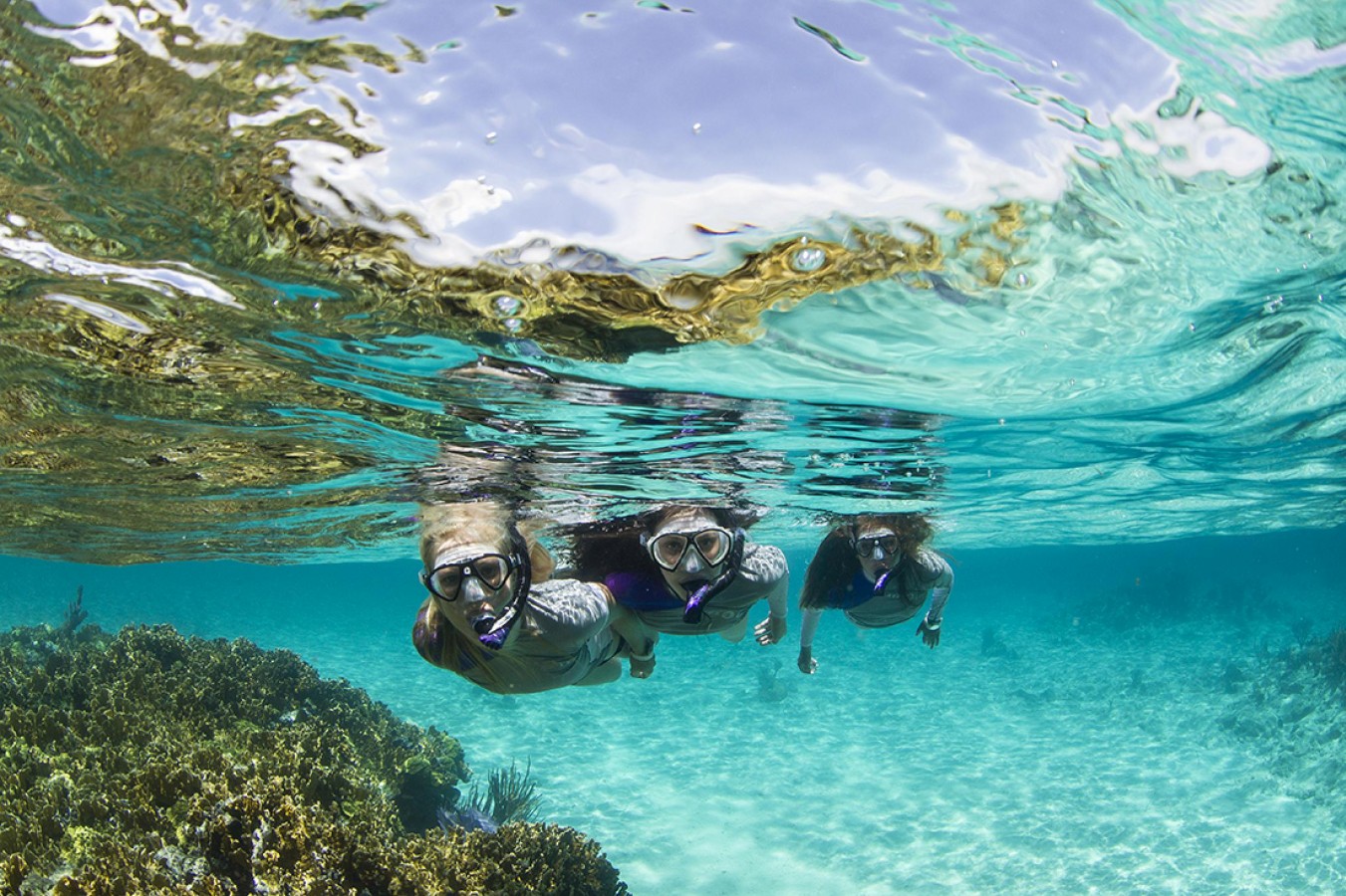 Reef Restoration Panama